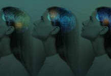 Social Activity Delays Dementia by 5 Years