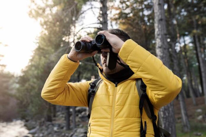 Person in a yellow jacket using binoculars in a forest