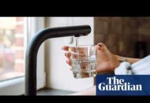 Breakthrough in PFAS “Forever Chemical” Removal