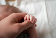 A close-up of a babys hand being held by an adult hand