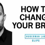 New Brain Rewiring Discovery Shatters Old Beliefs How to Change Your Brain & Increase Neuroplasticity at Any Age | Dr. Andrew Huberman