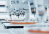 Automated laboratory equipment with robotic arms dispensing liquids into petri dishes