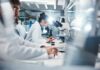 House Cats Could Revolutionize Cancer Fight Scientists working in a laboratory with microscopes and test tubes