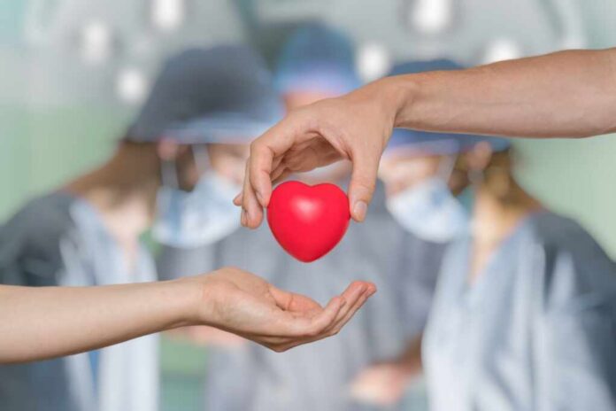 Heart,Transplant,And,Organ,Donation,Concept.,Hand,Is,Giving,Red Two hands exchanging a red heart symbol in a surgical setting