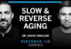 Essentials: The Biology of Slowing & Reversing Aging | Dr. David Sinclair