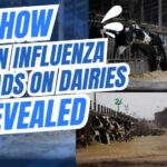 Raw Milk’s H5N1 Twist Stuns Scientists H5N1 Found in Milk, Air, AND Wastewater — What This Means for You