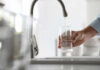 Brain-Eating Parasite That Hides in Tap Water A hand holding a glass under a kitchen faucet while water is being poured into it