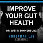 Essentials: Build a Healthy Gut Microbiome | Dr. Justin Sonnenburg