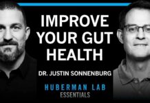 Essentials: Build a Healthy Gut Microbiome | Dr. Justin Sonnenburg