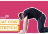 How to Do a Cat-Cow Stretch | Exercise with PartnerMD