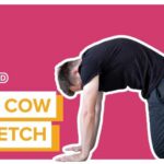 How to Do a Cat-Cow Stretch | Exercise with PartnerMD