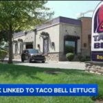 Taco Bell lettuce and the Cyclospora outbreak: Everything you need to know