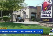Taco Bell lettuce and the Cyclospora outbreak: Everything you need to know