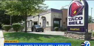 Taco Bell lettuce and the Cyclospora outbreak: Everything you need to know