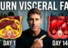 Fasting Methods That Burn The Most Belly Fat 14 Day Plan to Burn Visceral Fat (Works Every Time!)