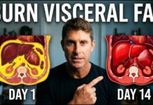 Fasting Methods That Burn The Most Belly Fat 14 Day Plan to Burn Visceral Fat (Works Every Time!)