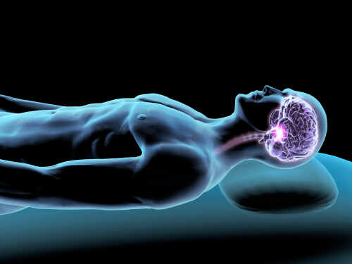 Illustration of a human figure with a highlighted brain