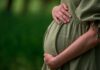 Silent Toxins Inside Pregnant Bodies Pregnant woman in a green dress gently holding her belly in a natural setting
