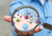 New Anti-Cancer Treatment Found in Bacteria Turncoat A person holding a magnifying glass showing colorful microorganisms