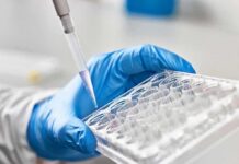 Stunning Biomarkers Hint At Alzheimer’s—Years Early Gloved hand holding a multiwell plate as a pipette dispenses liquid