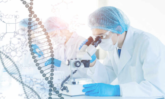 Genetic,Engineering,Concept.,Genetic,Testing.,Pharmacy.,Regenerative,Medicine. Scientist examining samples under a microscope in a laboratory