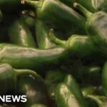 Salmonella outbreak expands to 27 states
