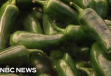 Salmonella outbreak expands to 27 states