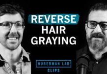 Gray Hair Reversal: Preventive and Treatment How to Reverse Hair Graying | Dr. Martin Picard & Dr. Andrew Huberman