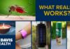 Mosquito Repellent: What Works and What Doesn't? | UC Davis Health