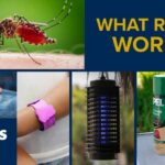 Mosquito Repellent: What Works and What Doesn't? | UC Davis Health