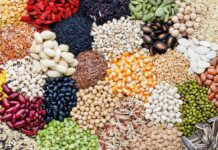 Beyond Digestion: Fiber’s Heart Benefits Assorted legumes, grains, and seeds arranged in colorful piles