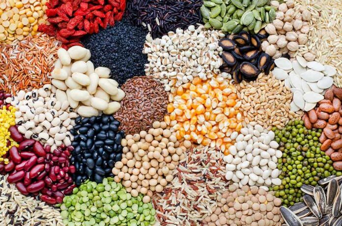 shutterstock_1361519465 Assorted legumes, grains, and seeds arranged in colorful piles
