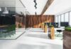 Modern open-plan office with wood accents and glass meeting room