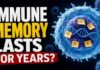 Obesity’s 10-Year Immune Hangover Obesity immune memory may last for years