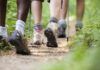Hikers' feet walking on a forest trail