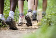 Slow Pace, Bigger Trouble – Study Stuns Hikers' feet walking on a forest trail
