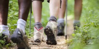Hikers' feet walking on a forest trail