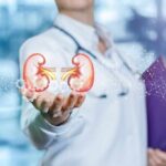 Kidney Disease: Two Cheap Tests Catch What Symptoms Miss Doctor holding digital illustration of human kidneys