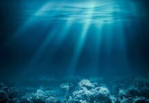 Global Ocean Protection? Total Mirage Underwater view of a coral reef with light rays penetrating the water