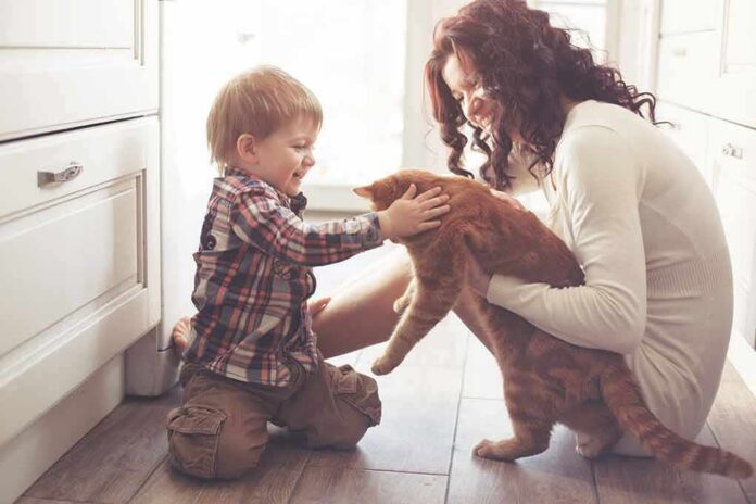shutterstock_250656241 toddler petting orange cat held by woman on kitchen floor