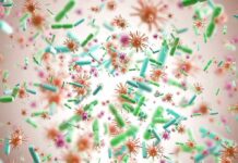 Colorful microscopic bacteria and viruses floating in space