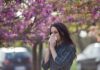 Winter Virus Ambush – Hopkins’ Bold Playbook Woman sneezing into tissue under blooming pink trees