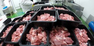 Trays of raw meat in a processing facility