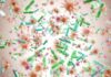 Hidden Germs That Drive Millions Of Cancers Colorful microscopic bacteria and viruses floating in space